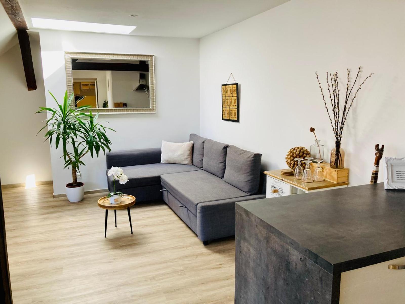 ברטיסלאבה Vip Apartment In Old Town With Free Parking מראה חיצוני תמונה