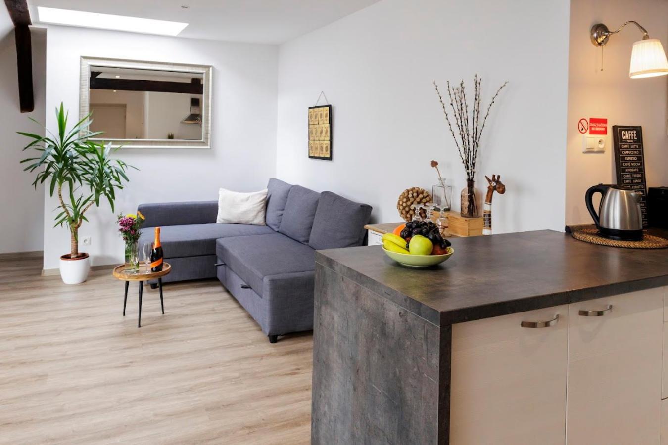 ברטיסלאבה Vip Apartment In Old Town With Free Parking מראה חיצוני תמונה